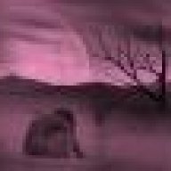 ماجد دايما متواجد